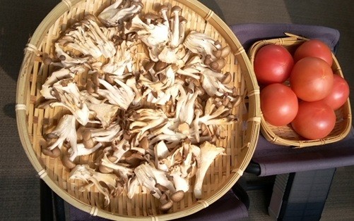 干し野菜(トマト、きのこMix):干し終わりの画像