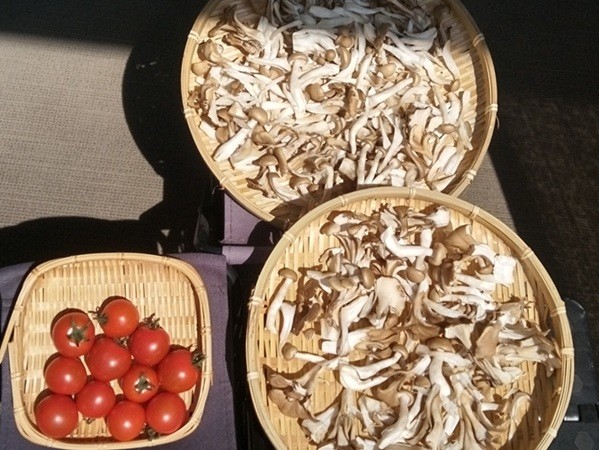 干し野菜(ミニトマト、きのこMix):干し終わりの画像