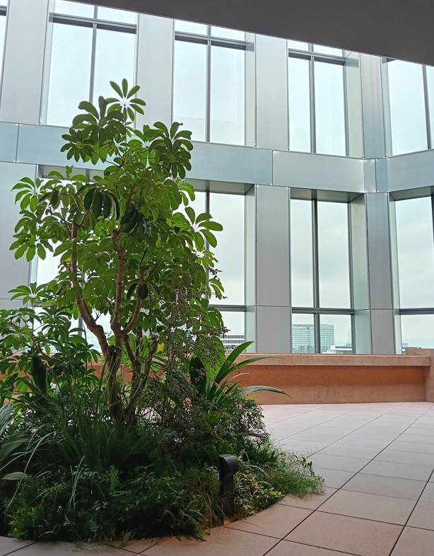 スカイテラスの画像