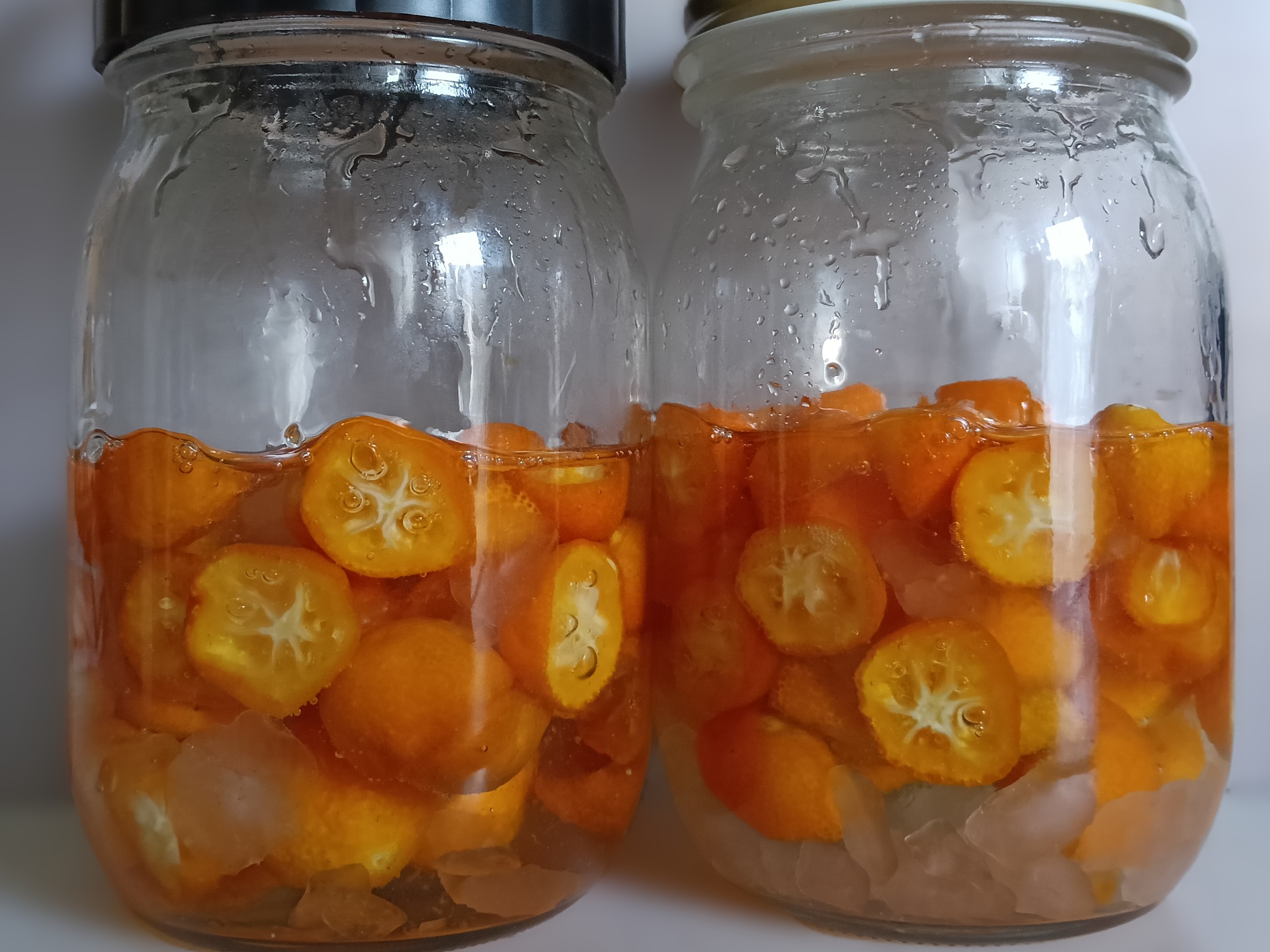 金柑シロップ仕込み1週間後の画像