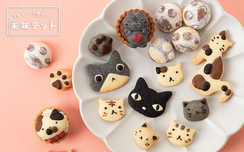 焼喜菓子kokekaの猫クッキーの画像(大丸梅田店より引用)