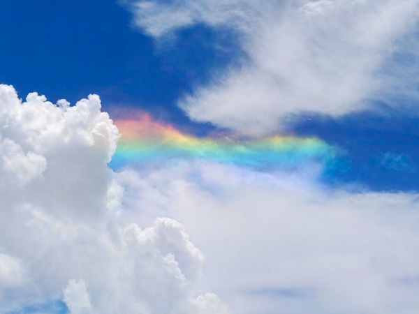 彩雲の画像